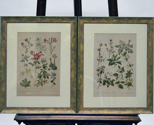 Lot 382_2: Three pair of framed floral  theme prints.